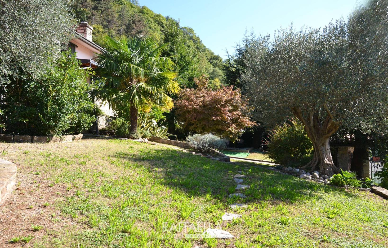 Giardino
