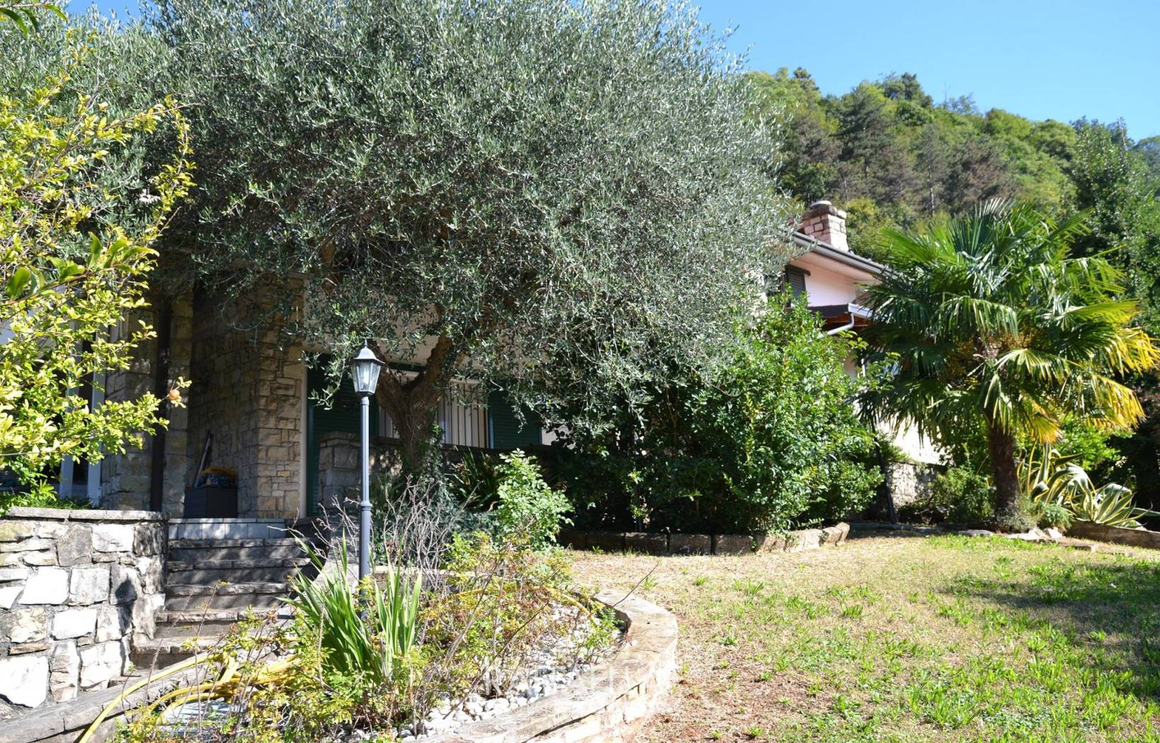 Giardino