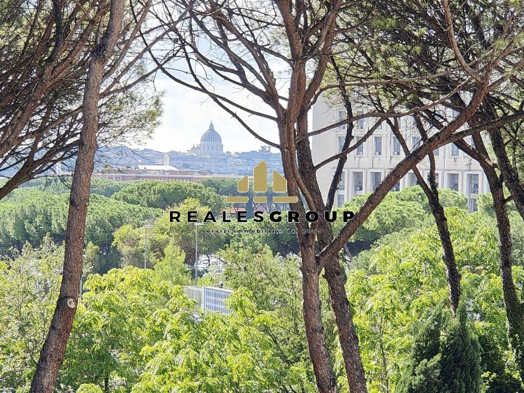 Vista