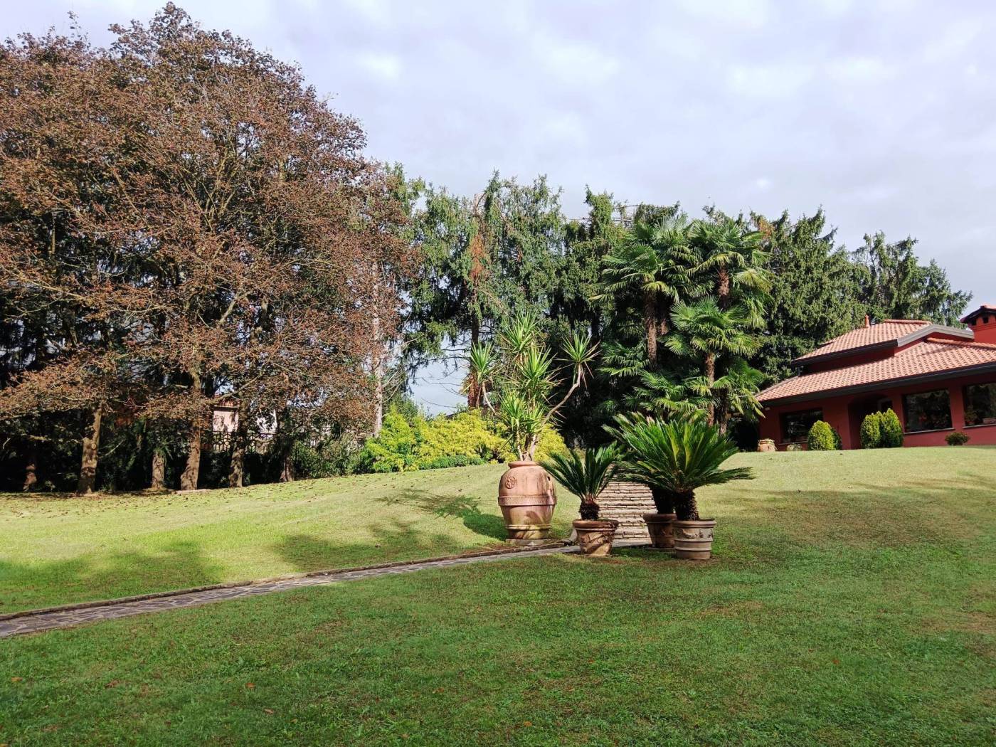 Terreno