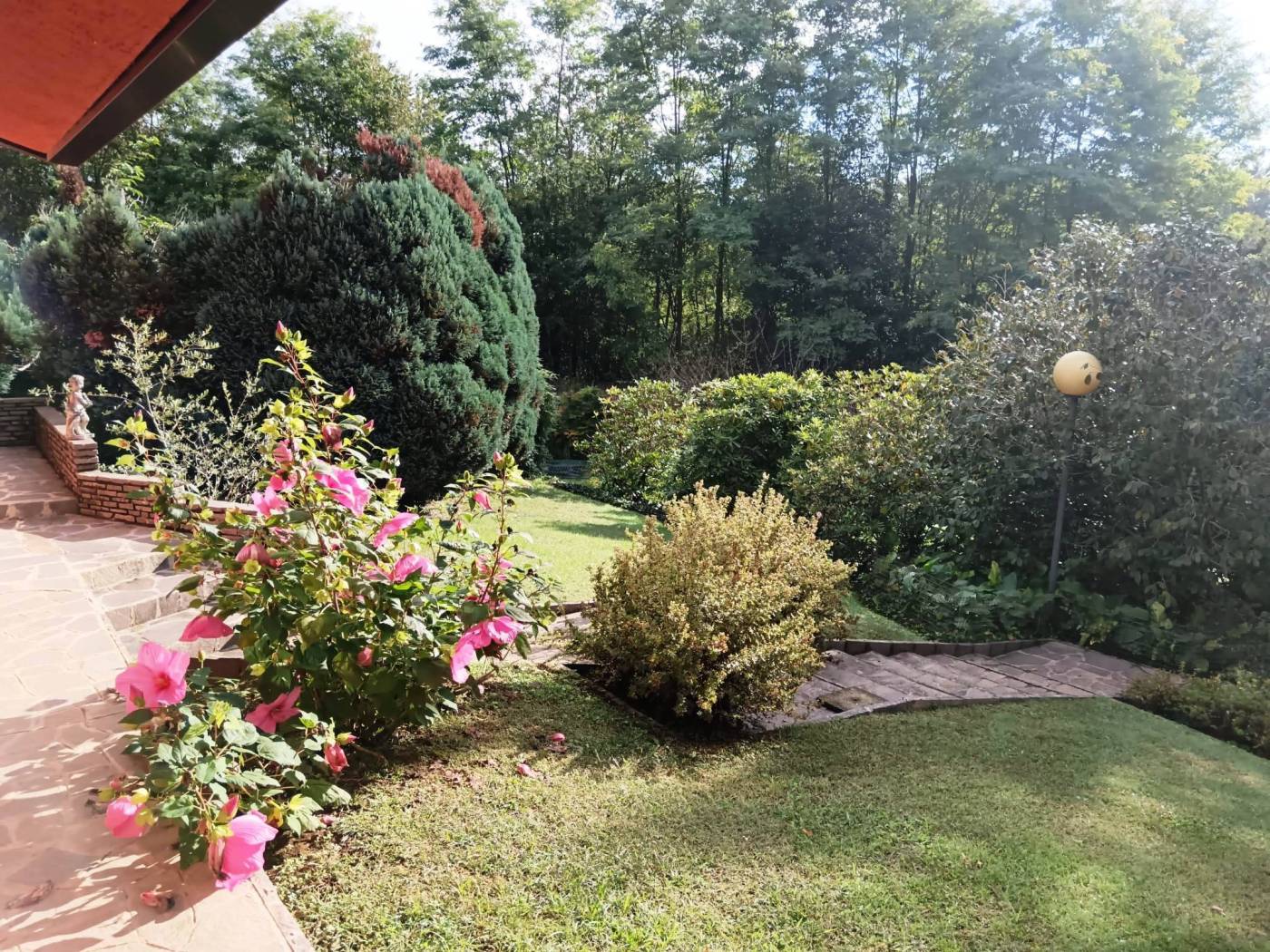 Giardino