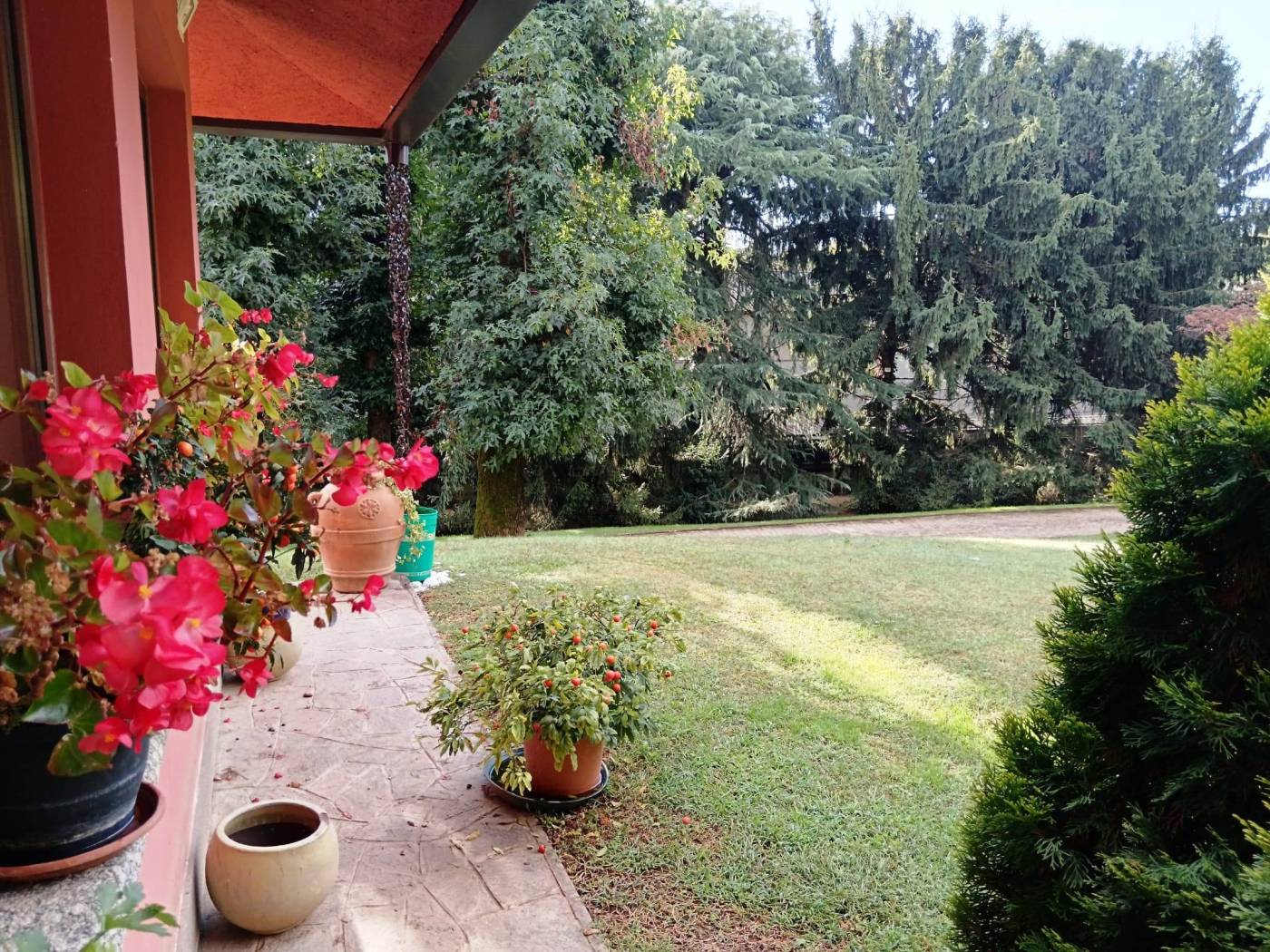 Giardino