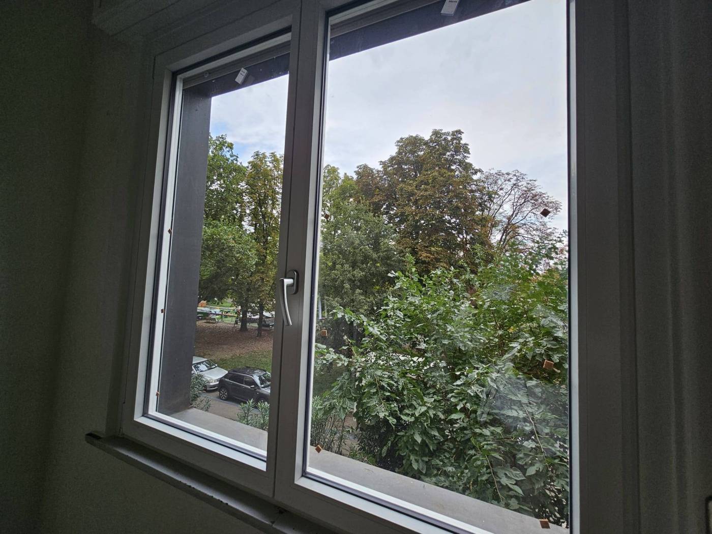 Vista
