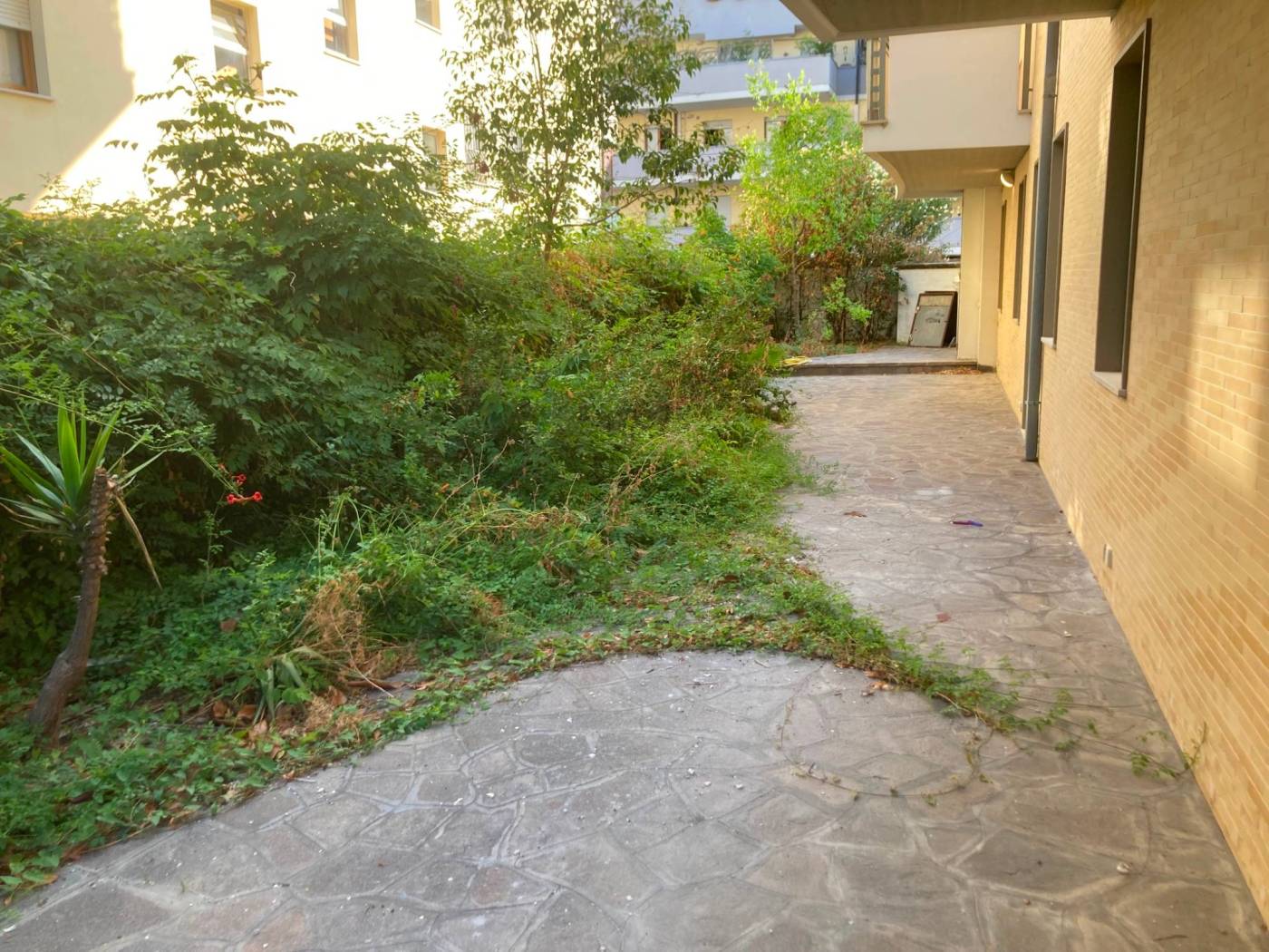 Giardino