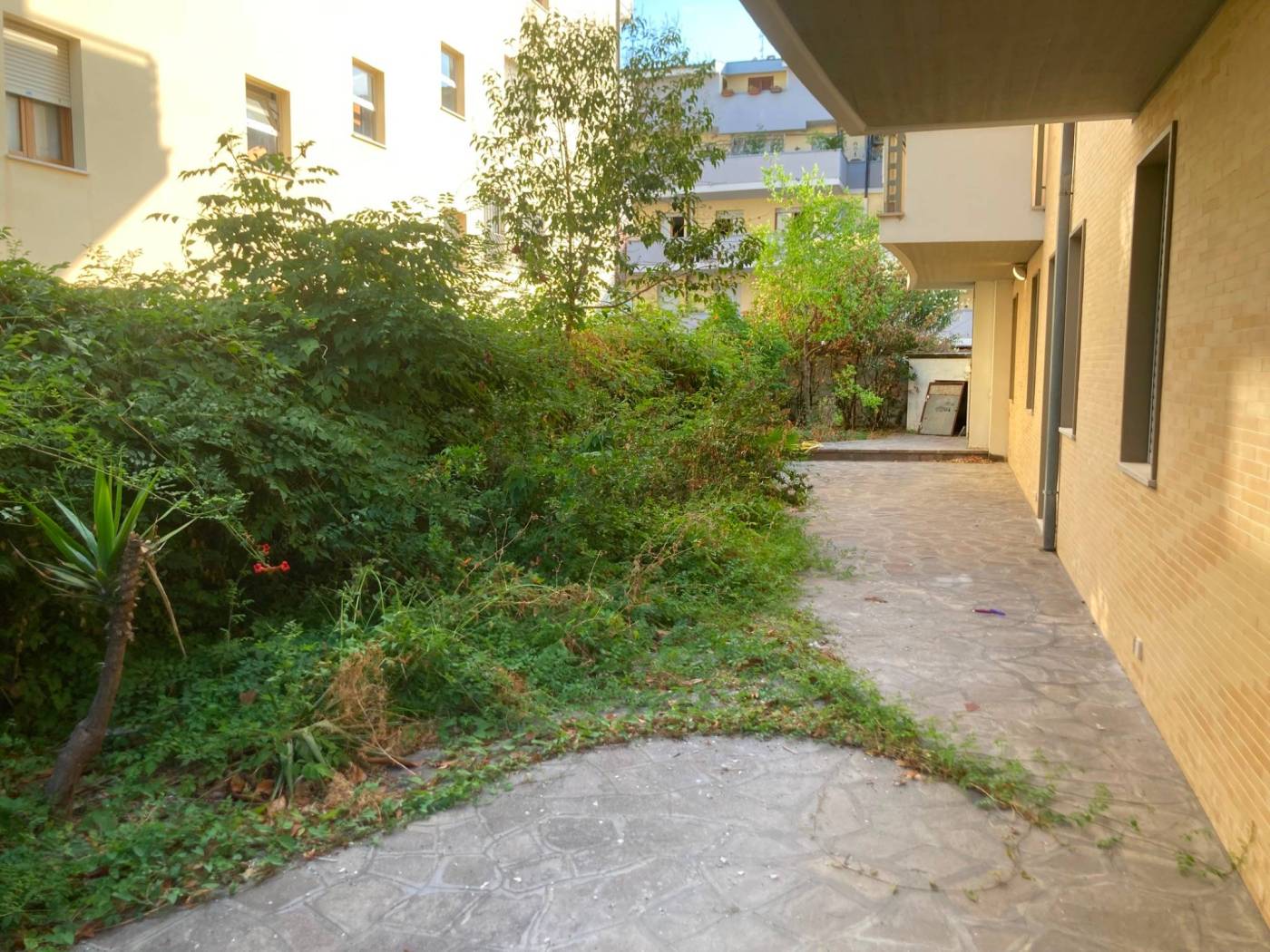 Giardino