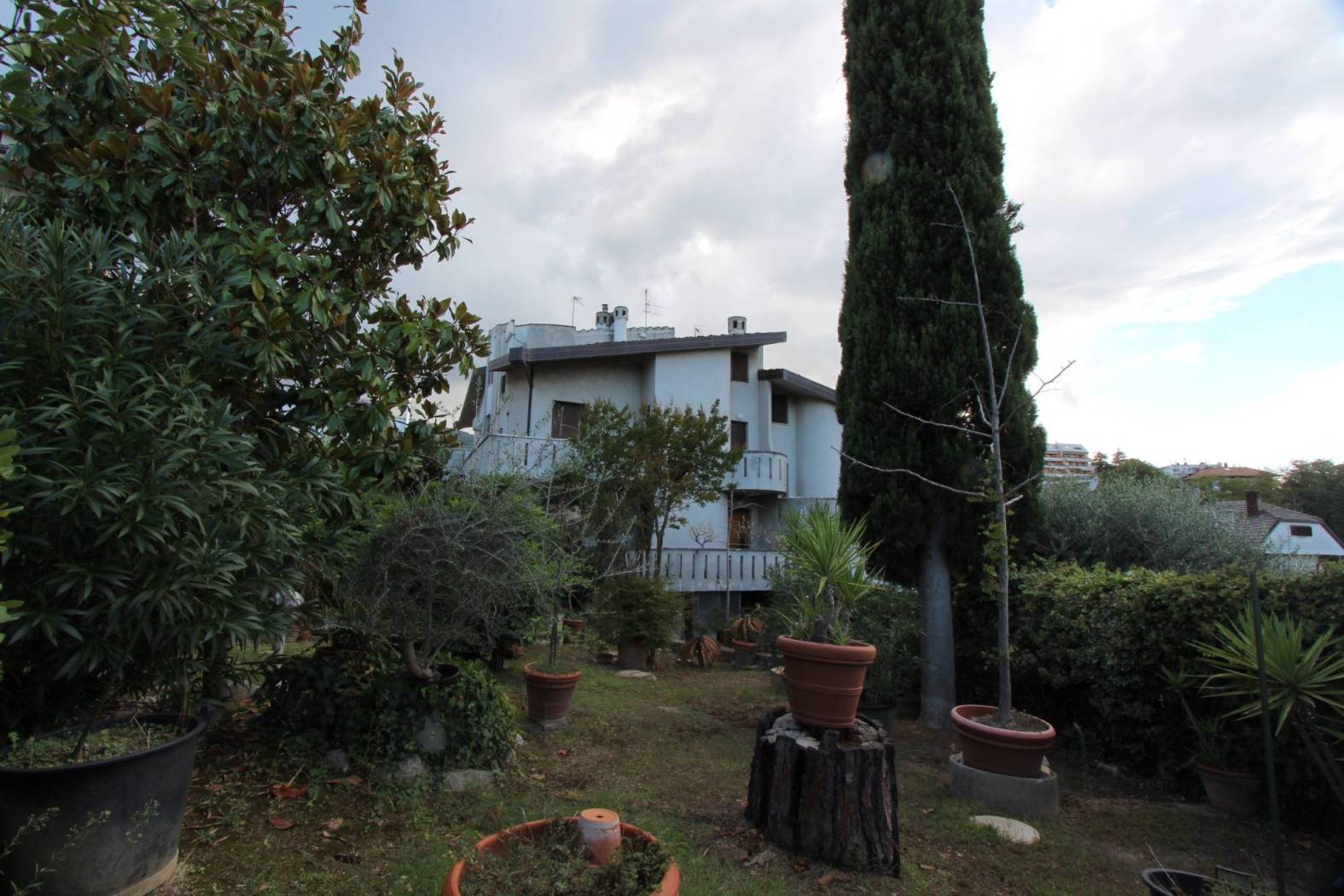 Giardino