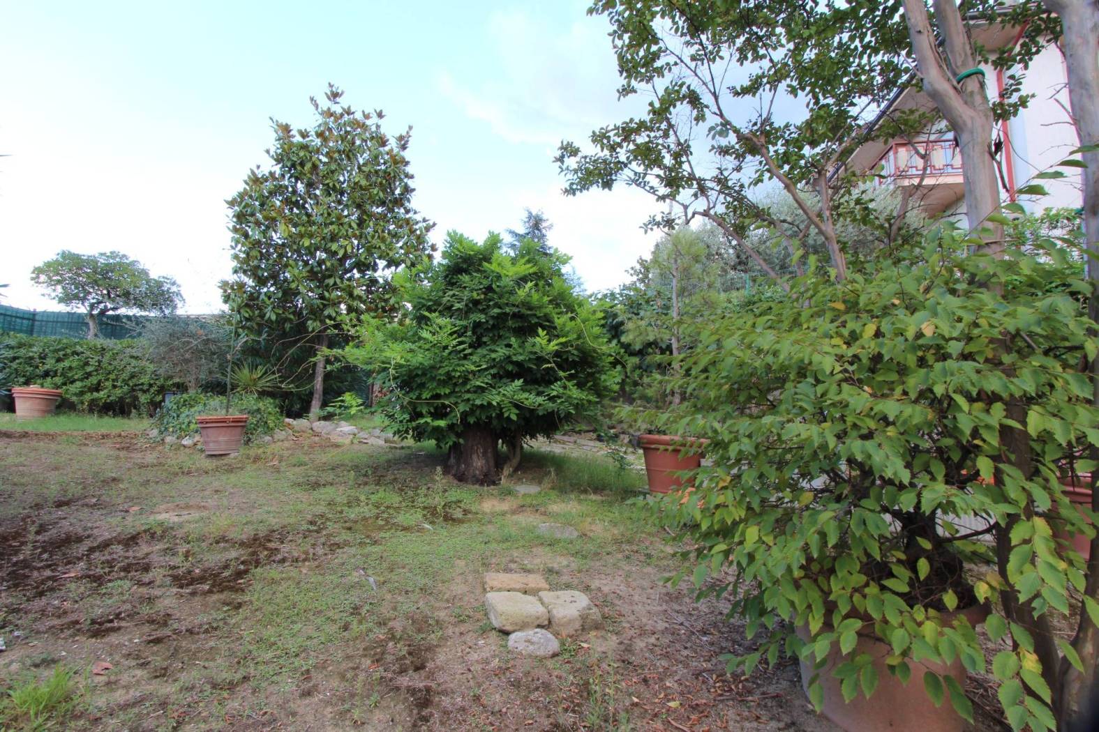 Giardino