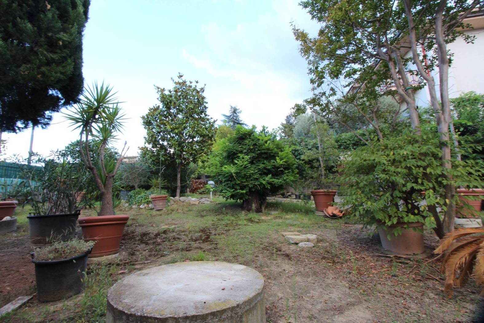 Giardino