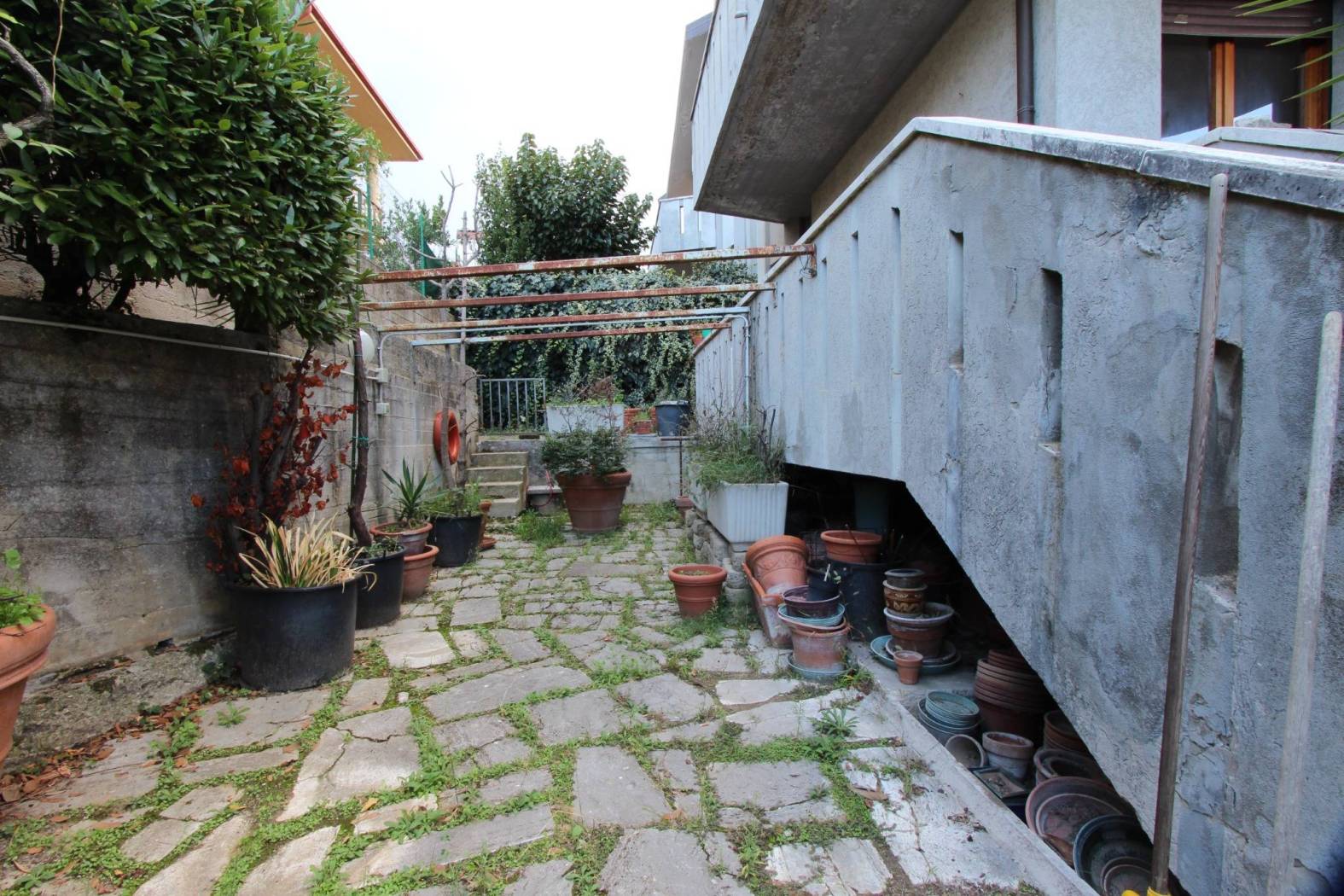 Giardino