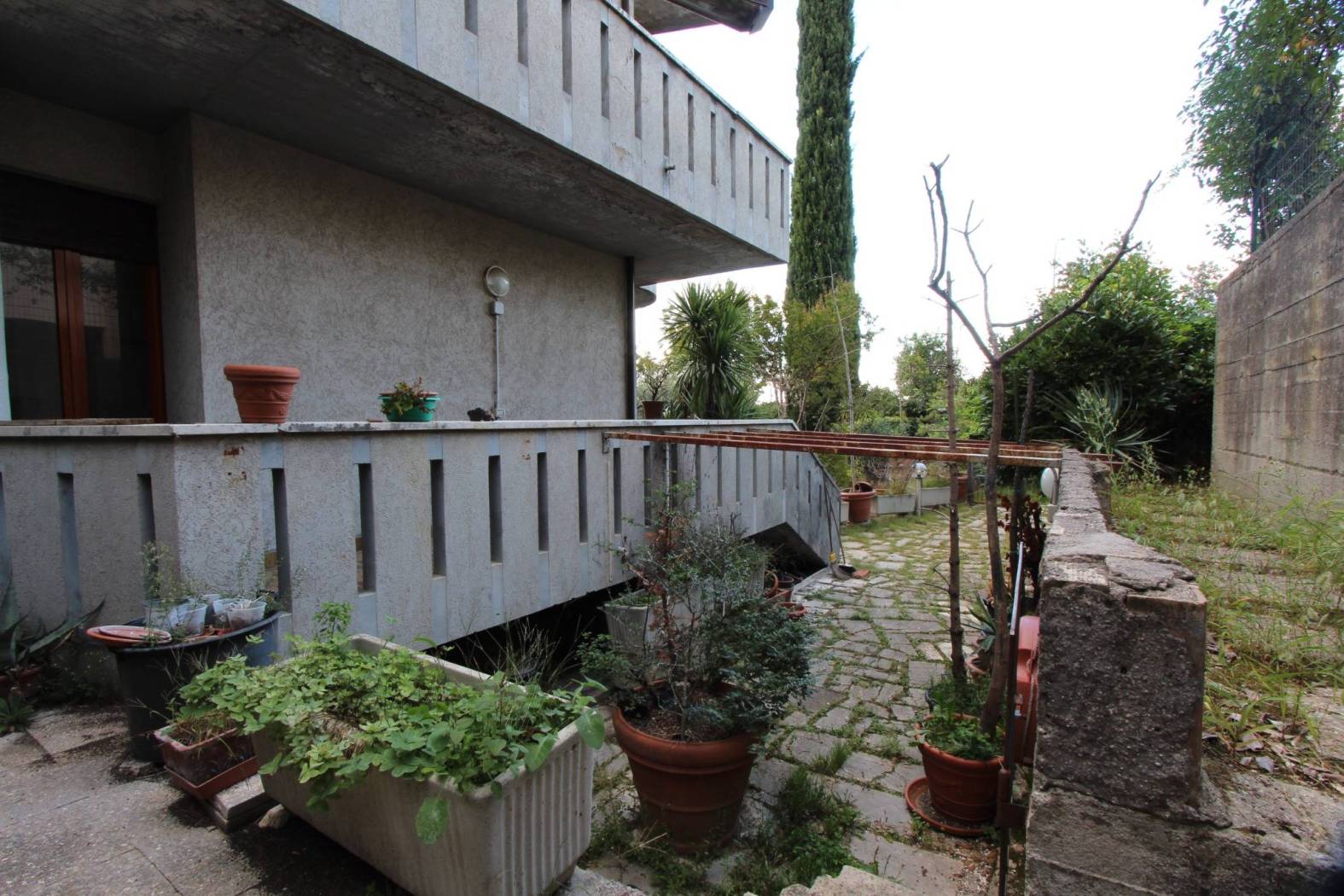 Giardino