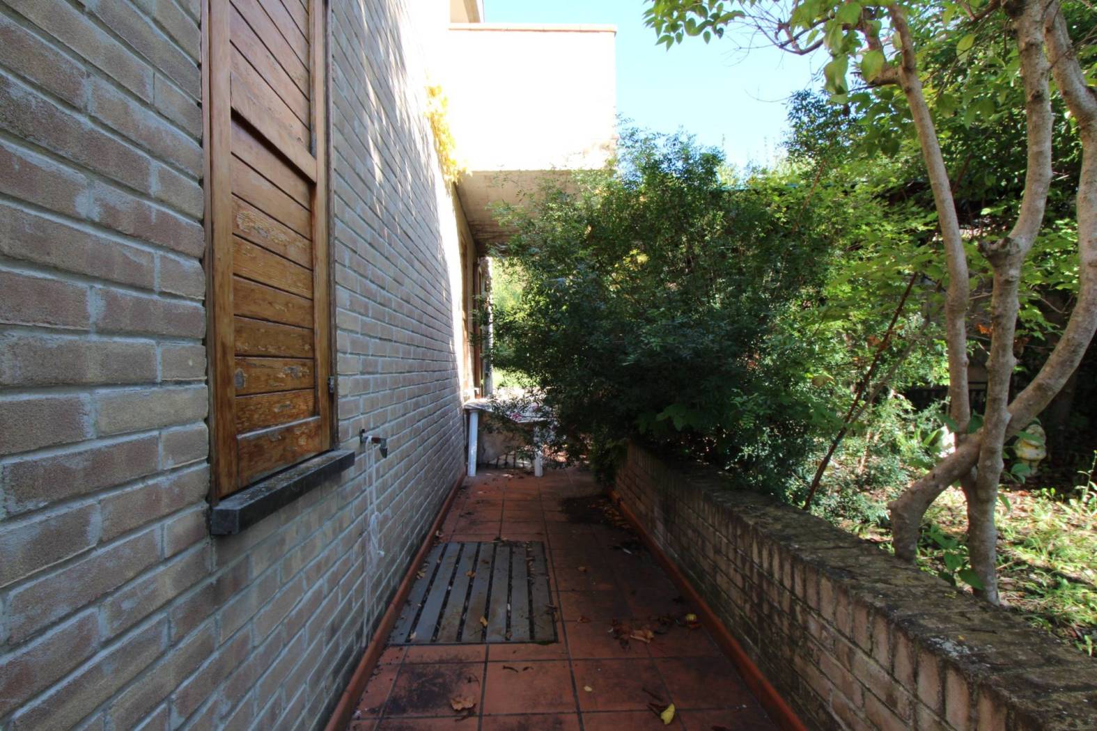 Giardino