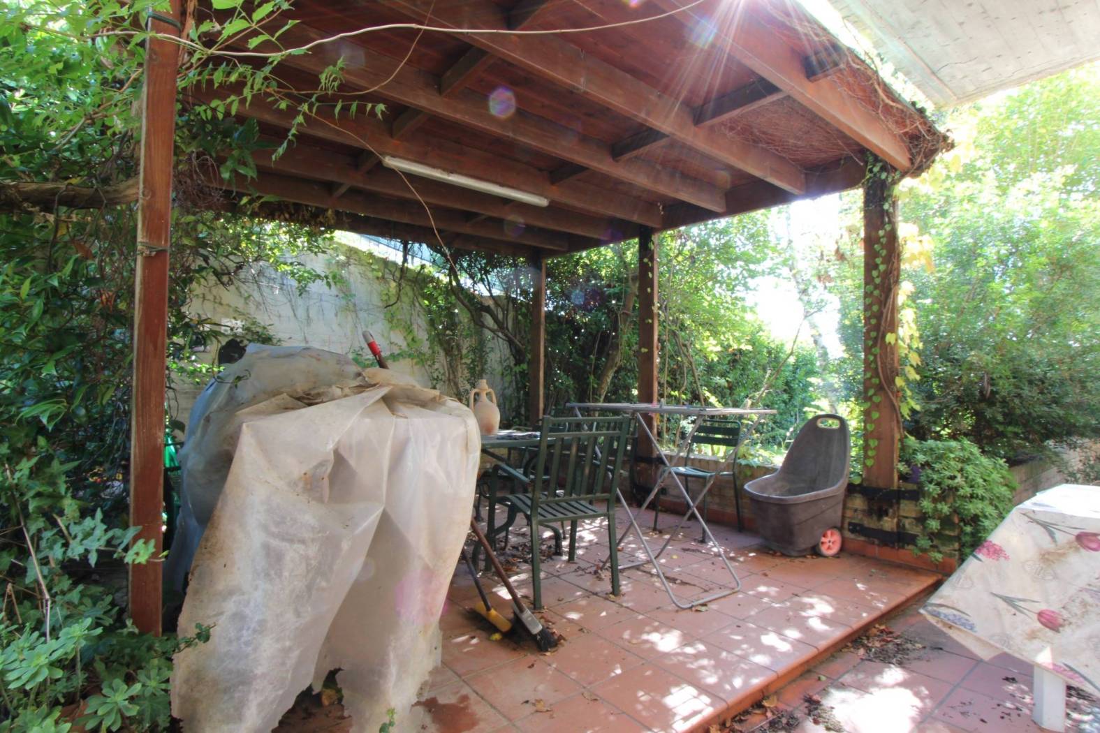 Giardino