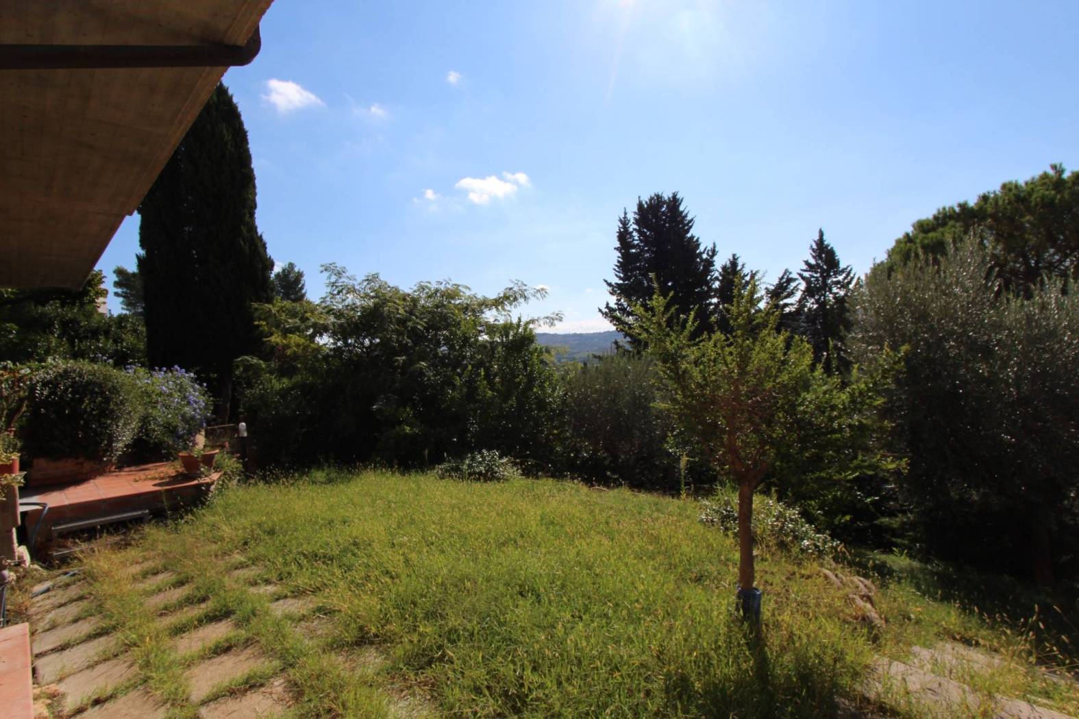 Giardino