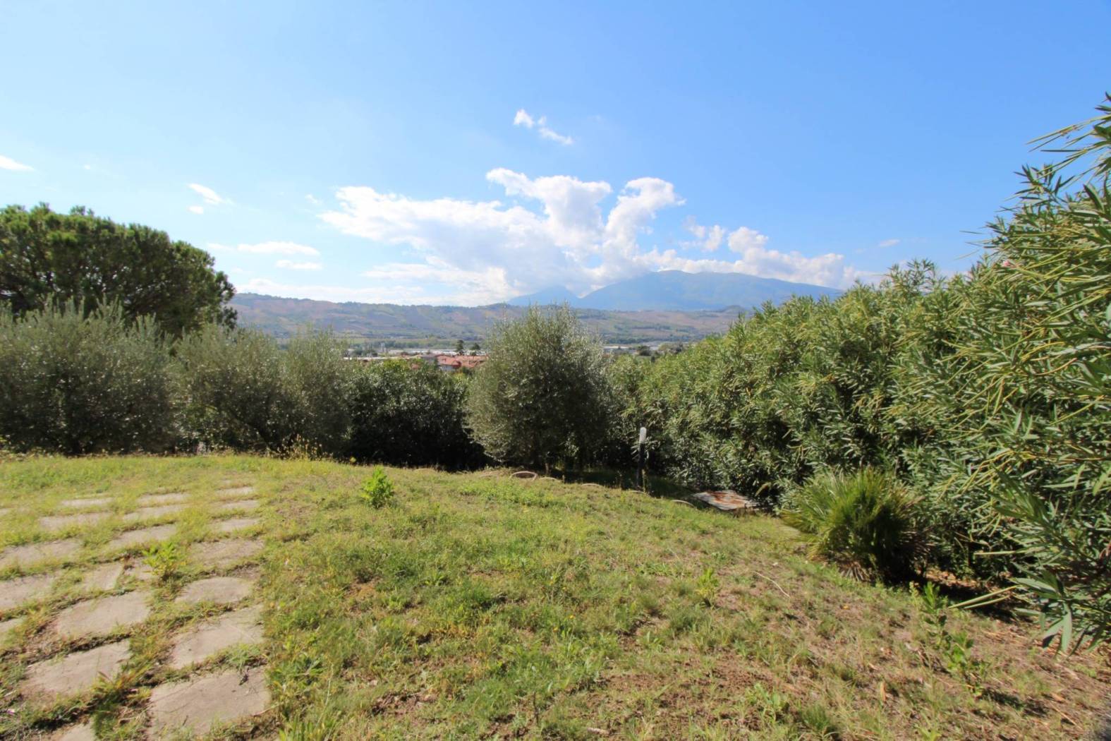 Giardino