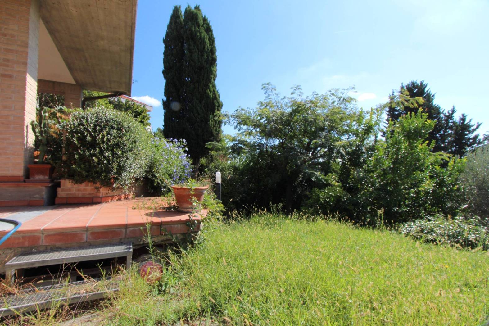 Giardino