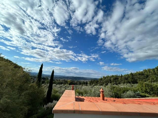 Vista