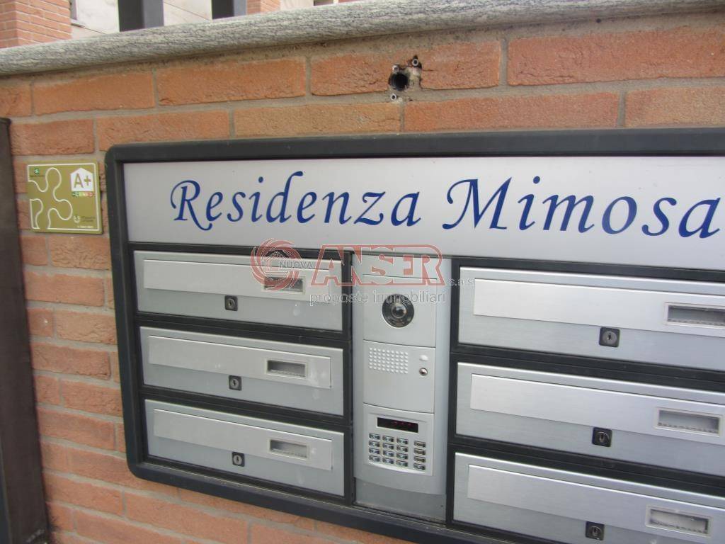 Ingresso