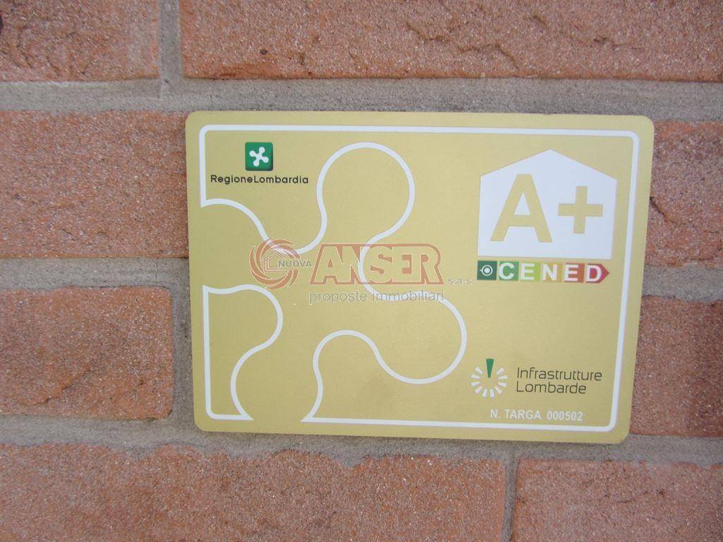 Dettagli