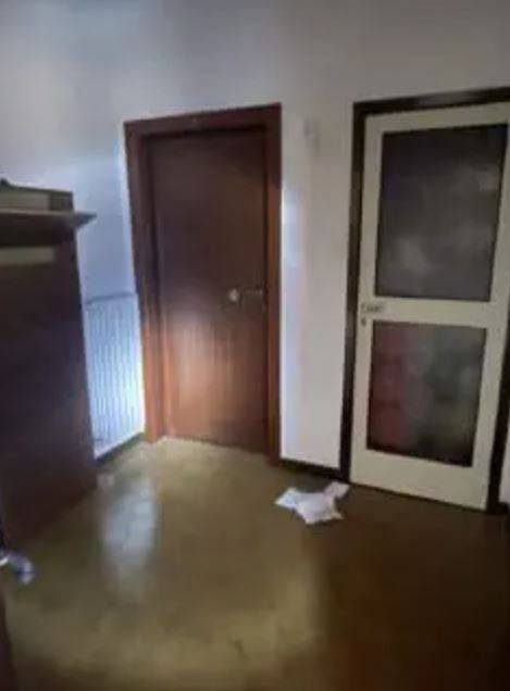 Ingresso