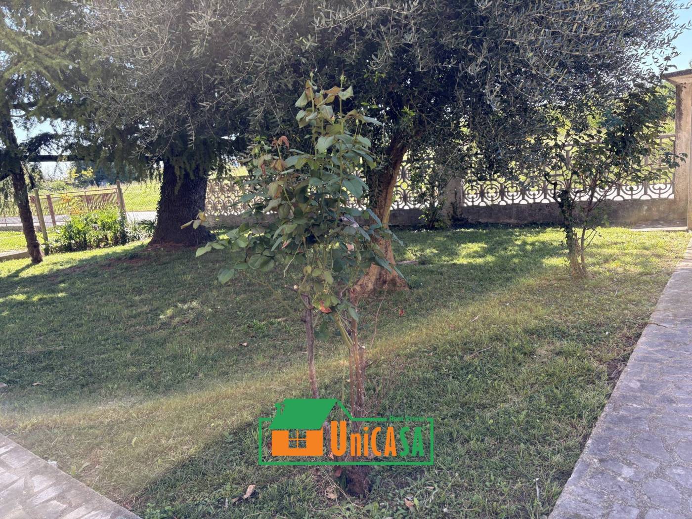 Giardino