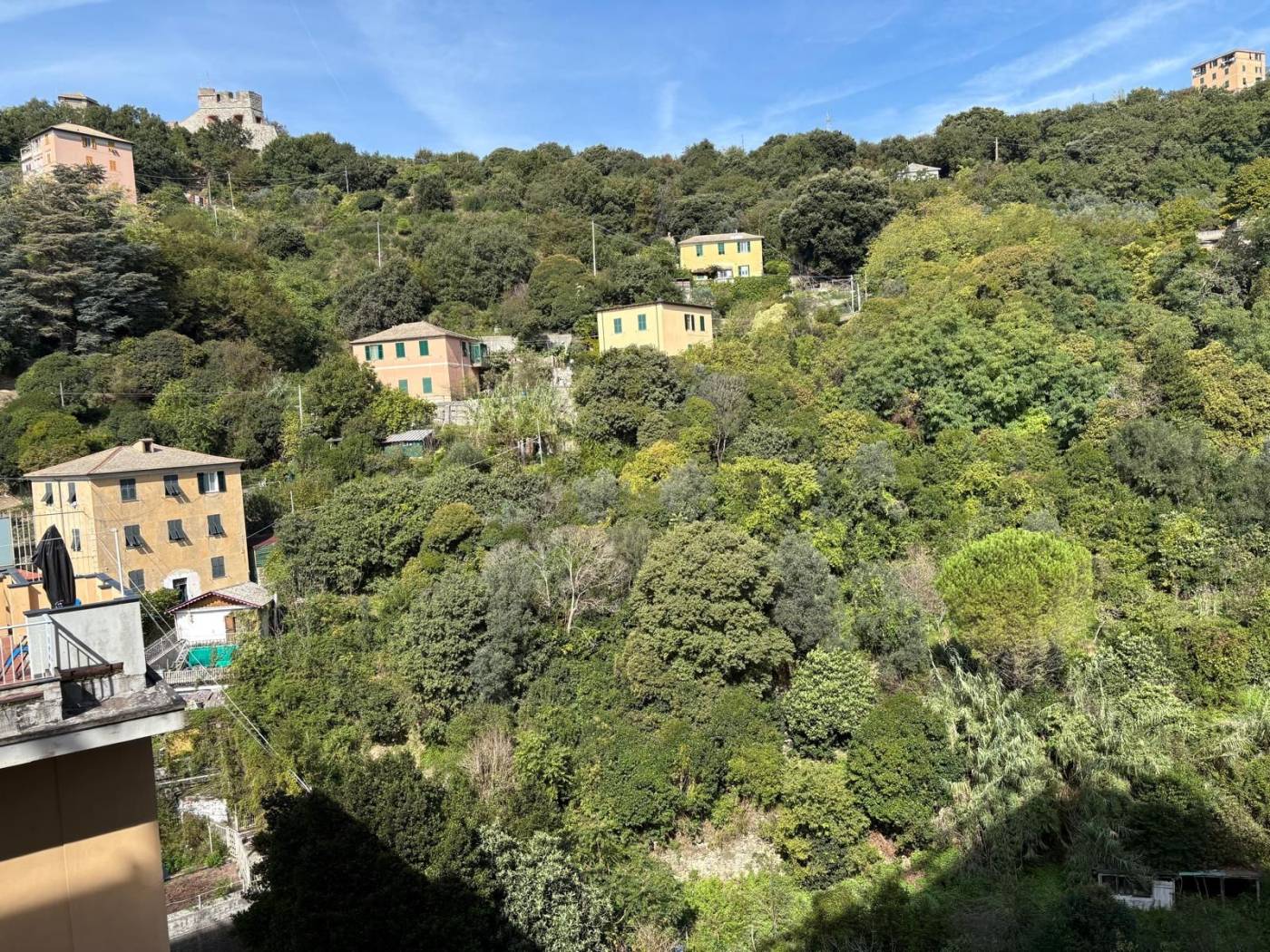 Vista