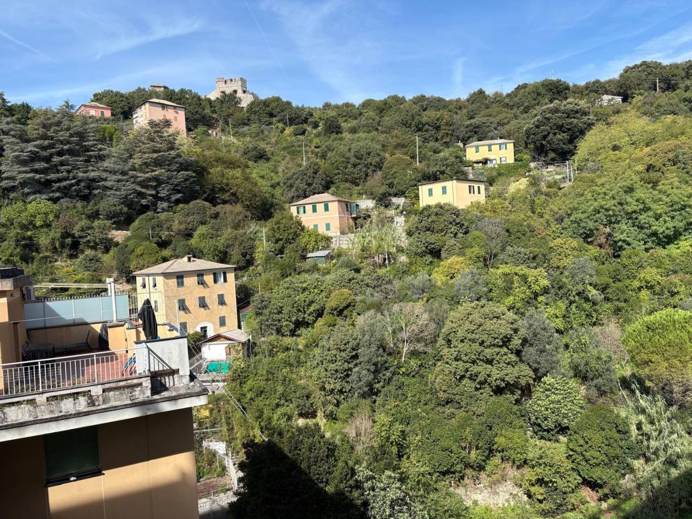 Vista