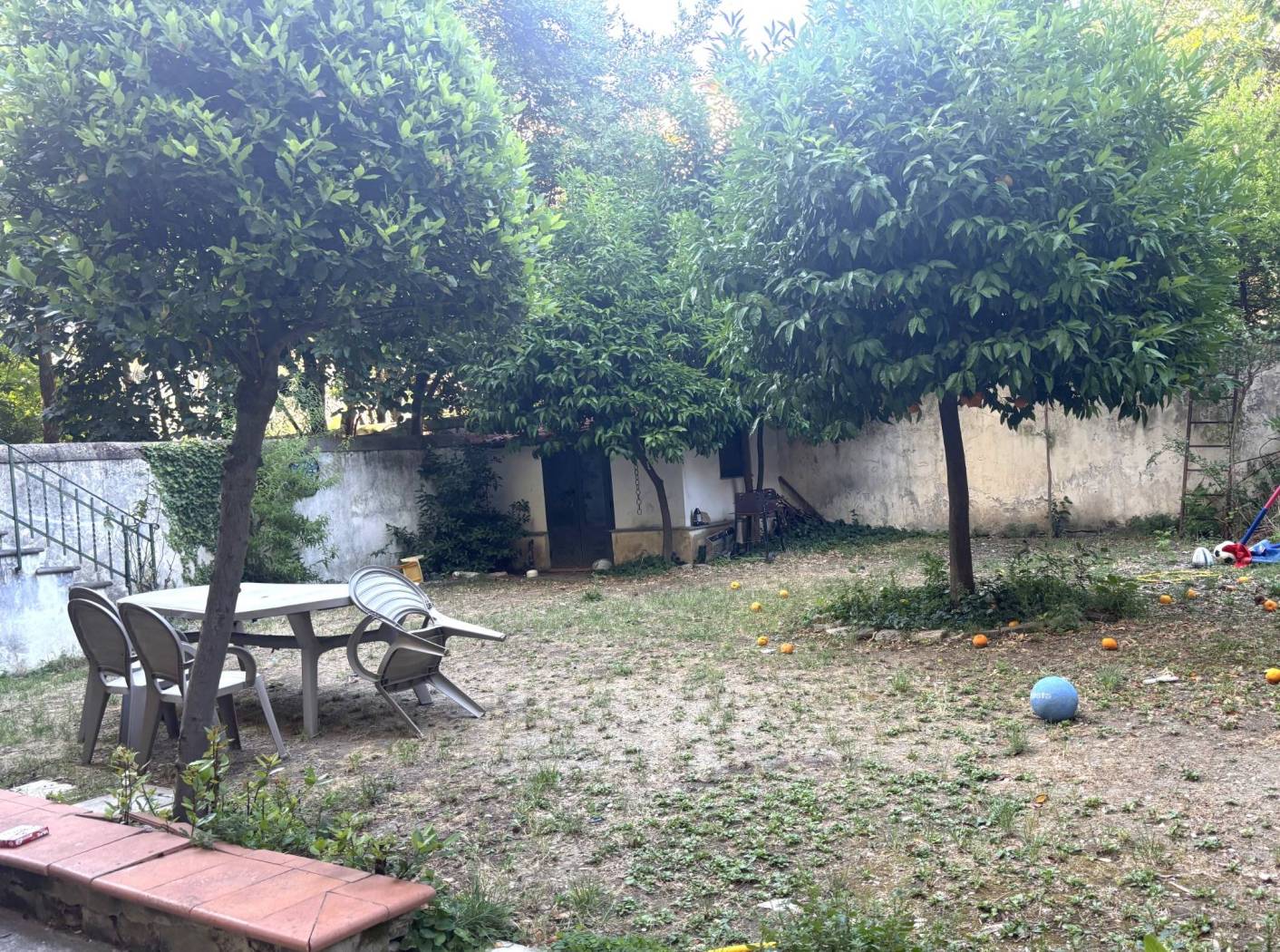 Giardino