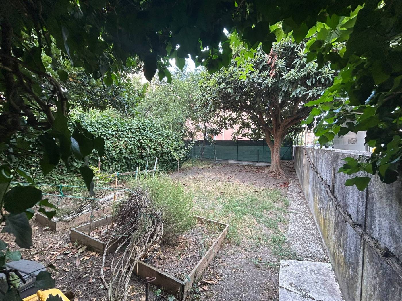 Giardino