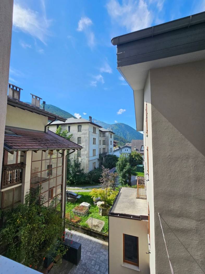 Vista