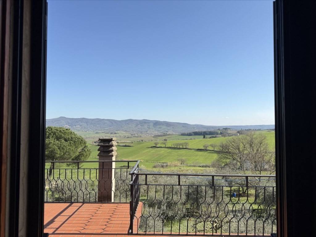 Vista