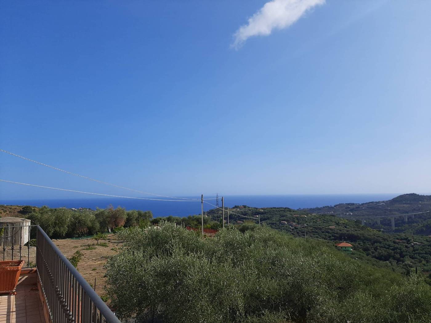 Vista