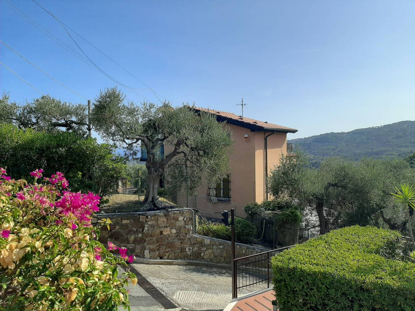Giardino