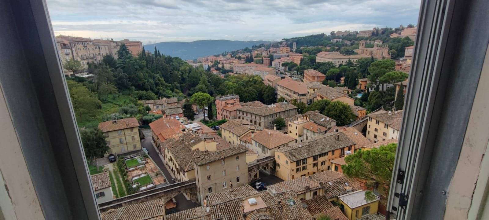 Vista