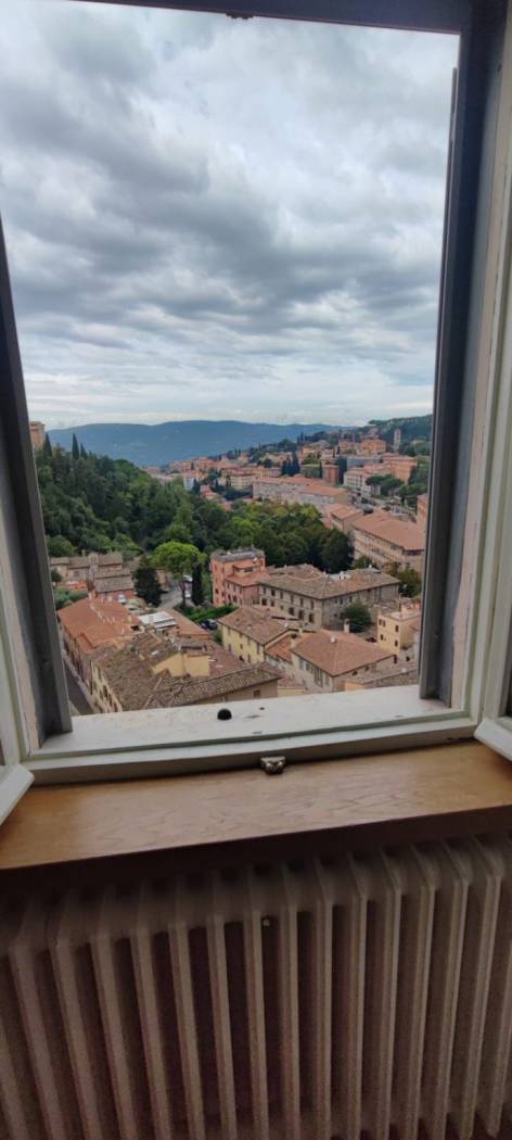 Vista