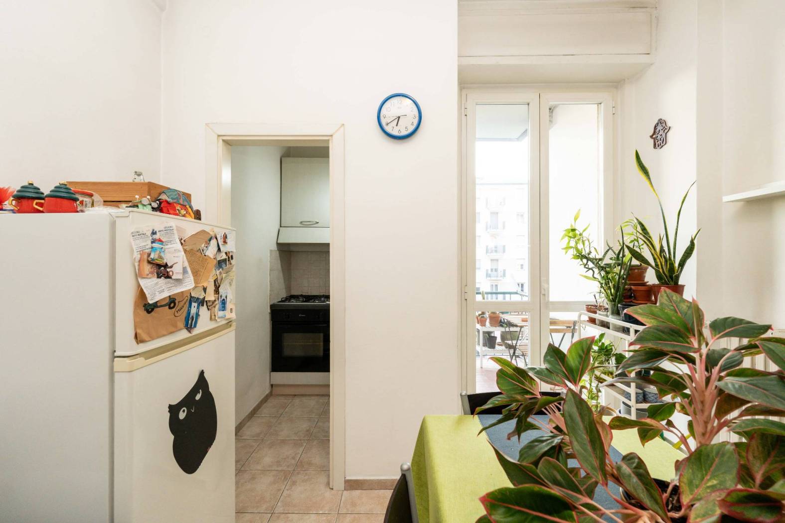 Cucina