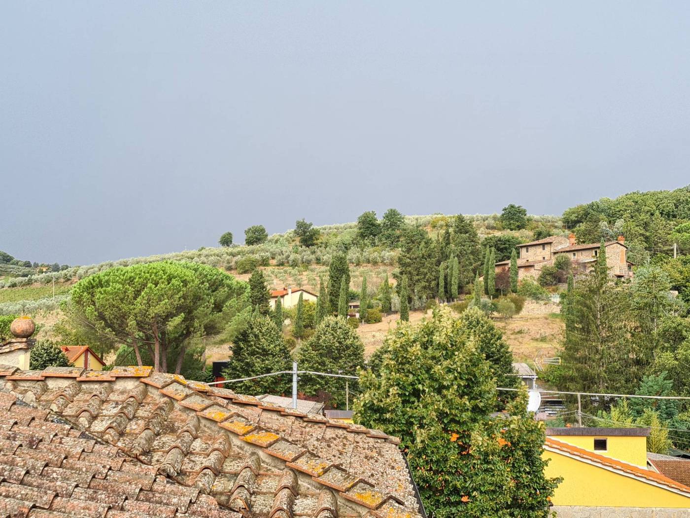 Vista