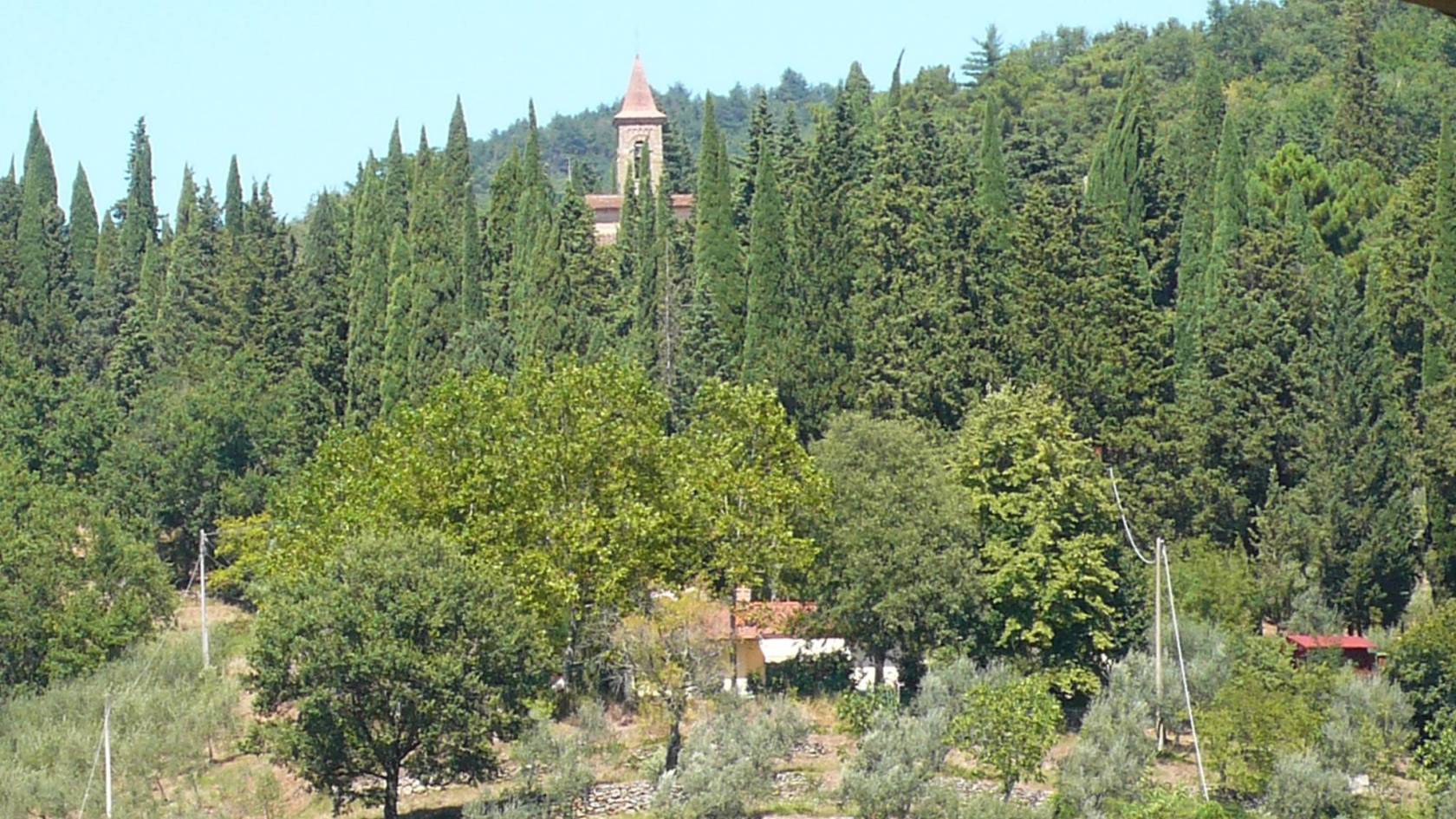 Vista
