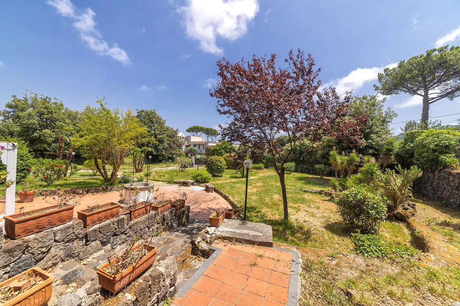 Giardino