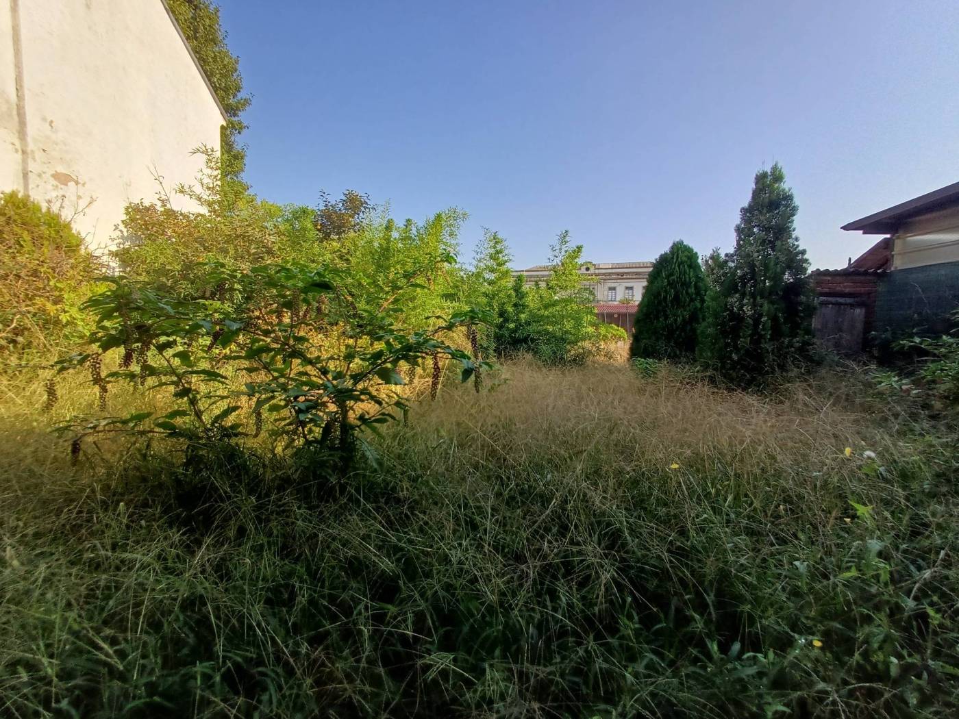 Terreno