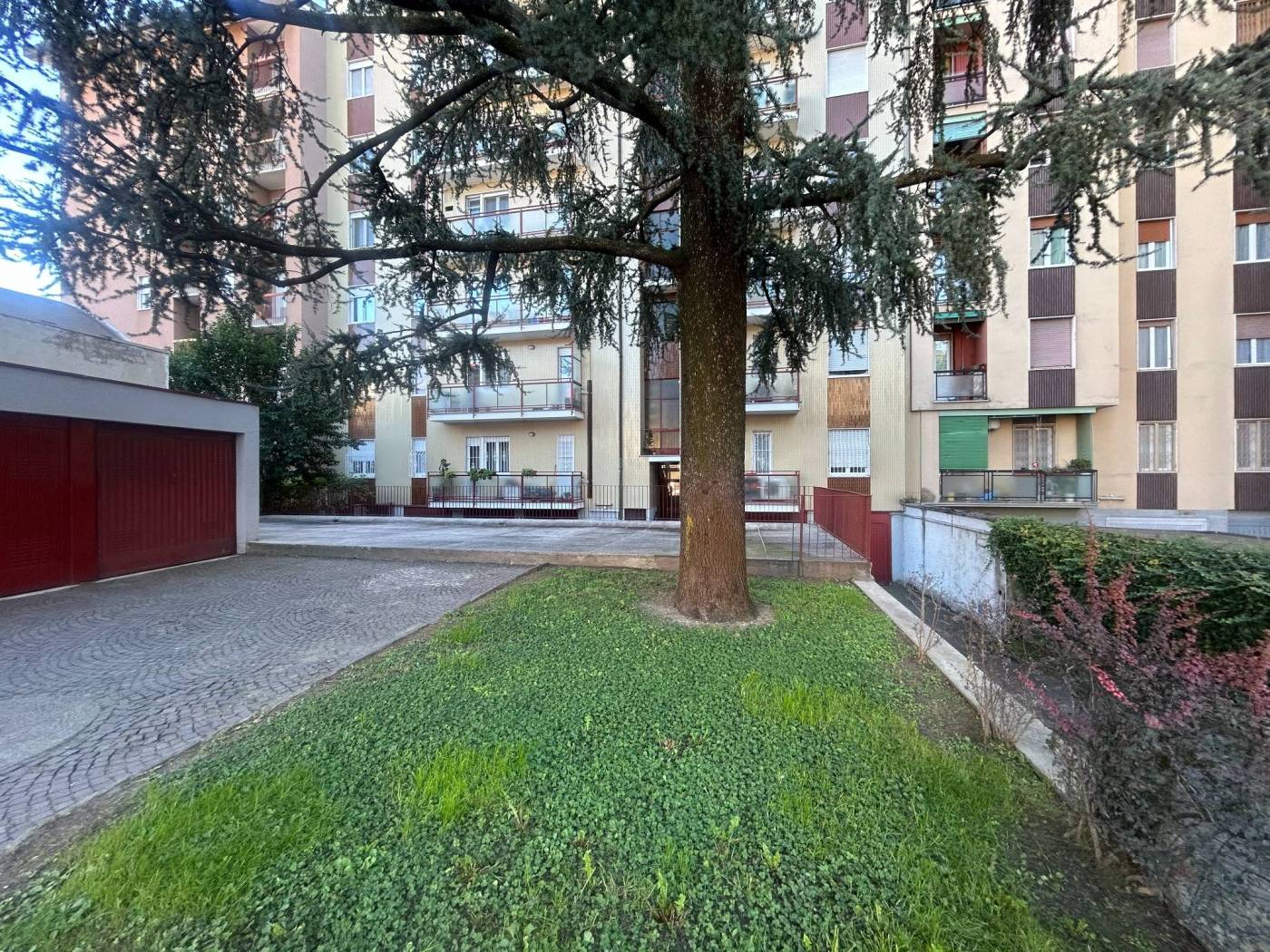 Giardino