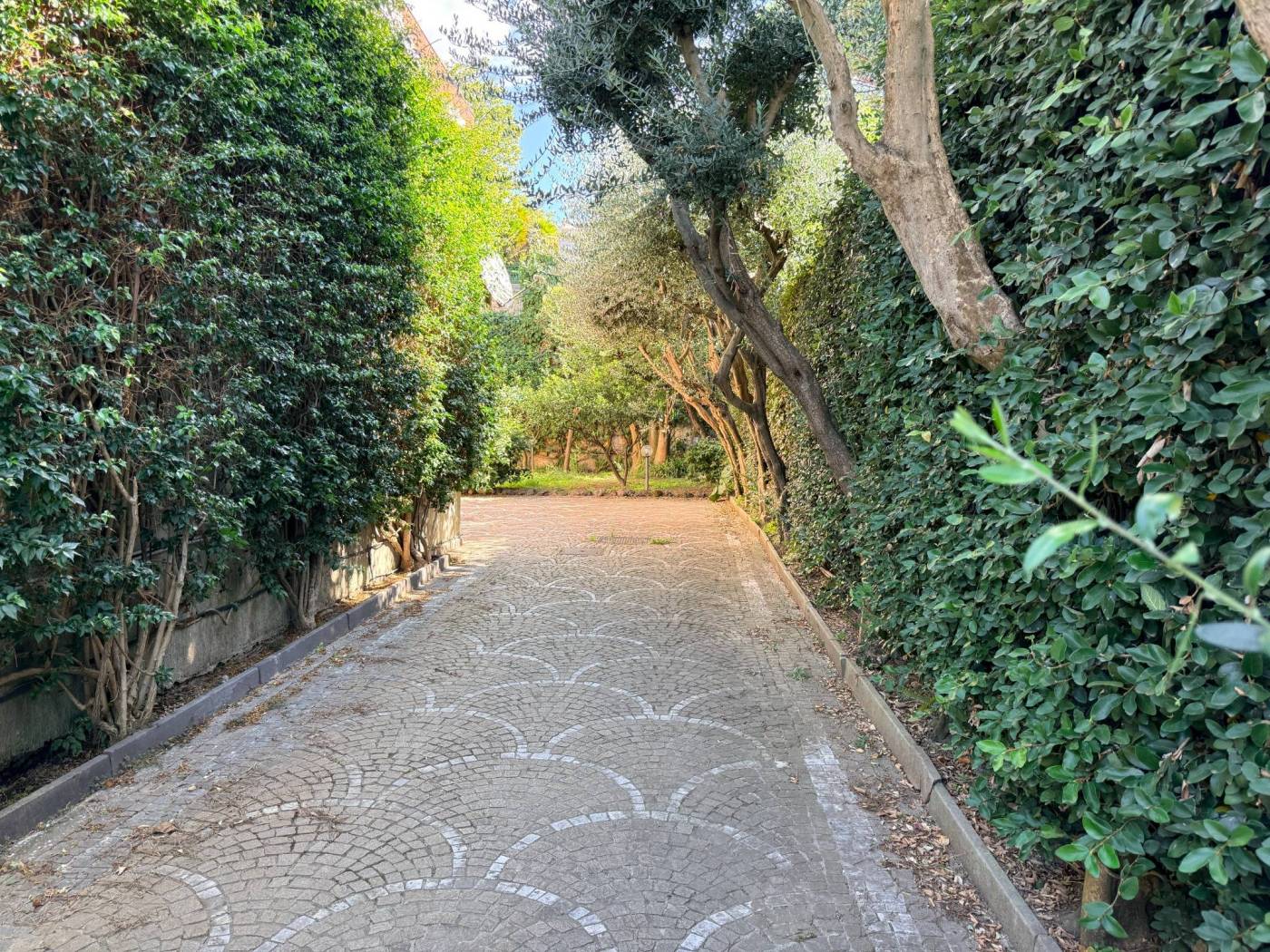 Giardino