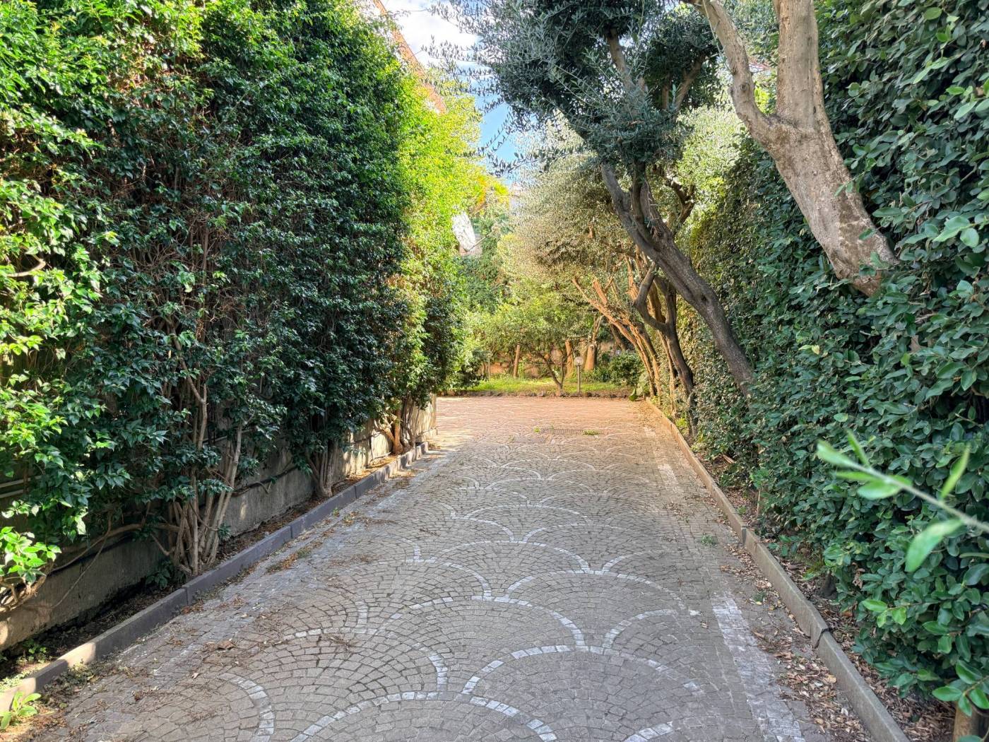 Giardino