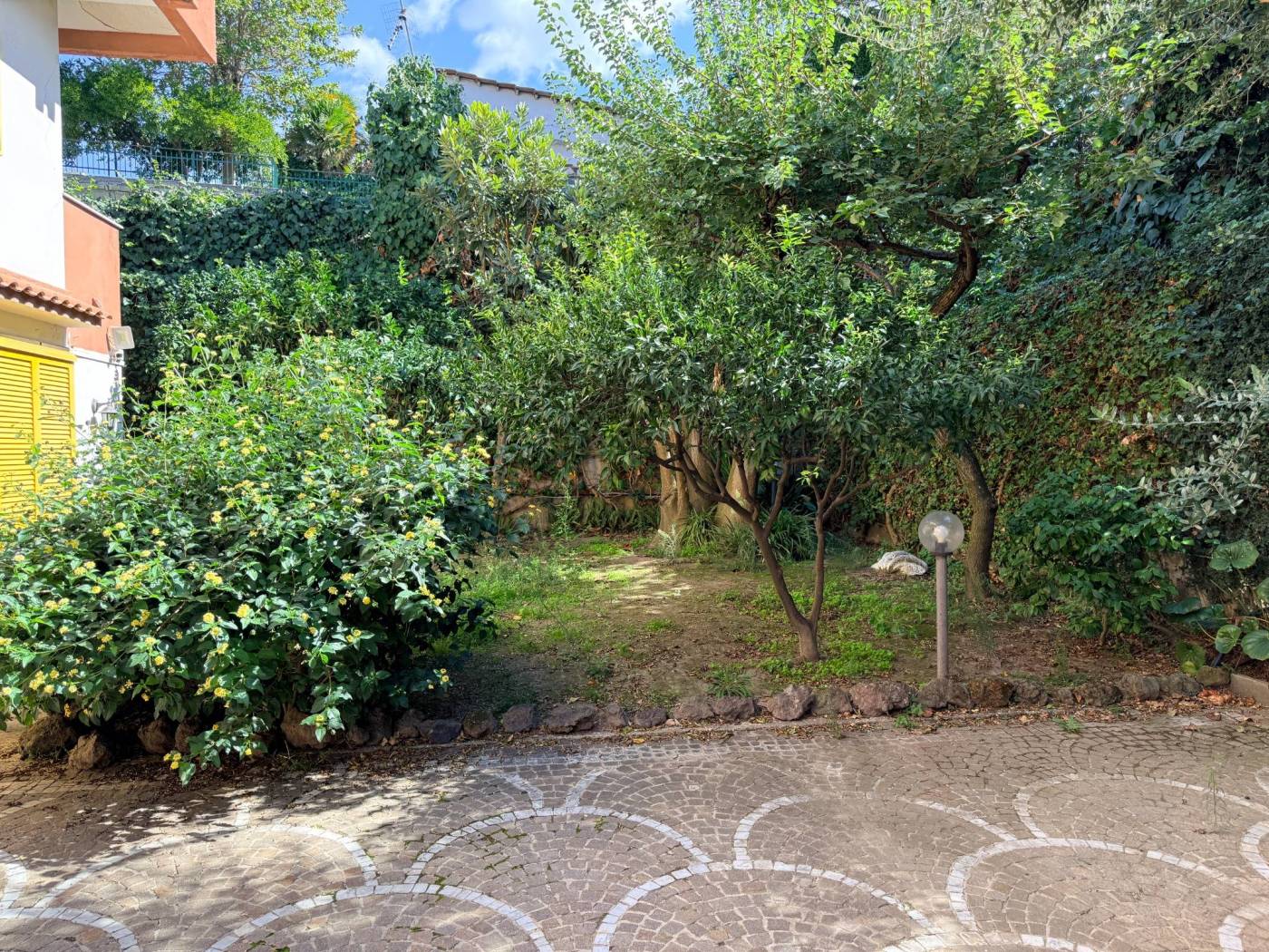 Giardino