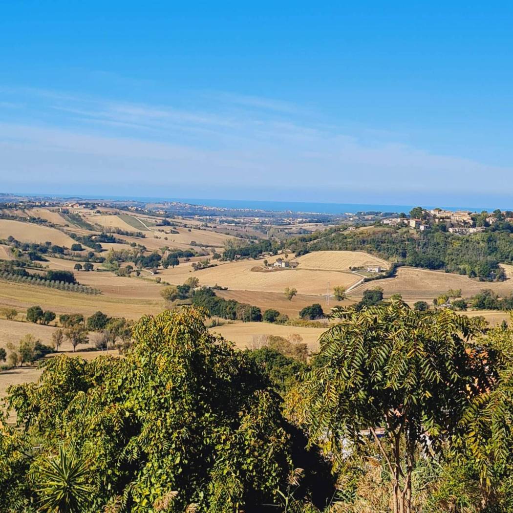 Vista