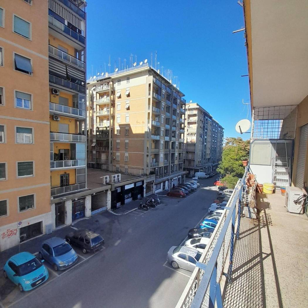 Vista
