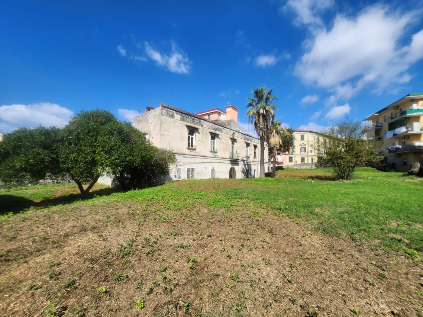 Giardino