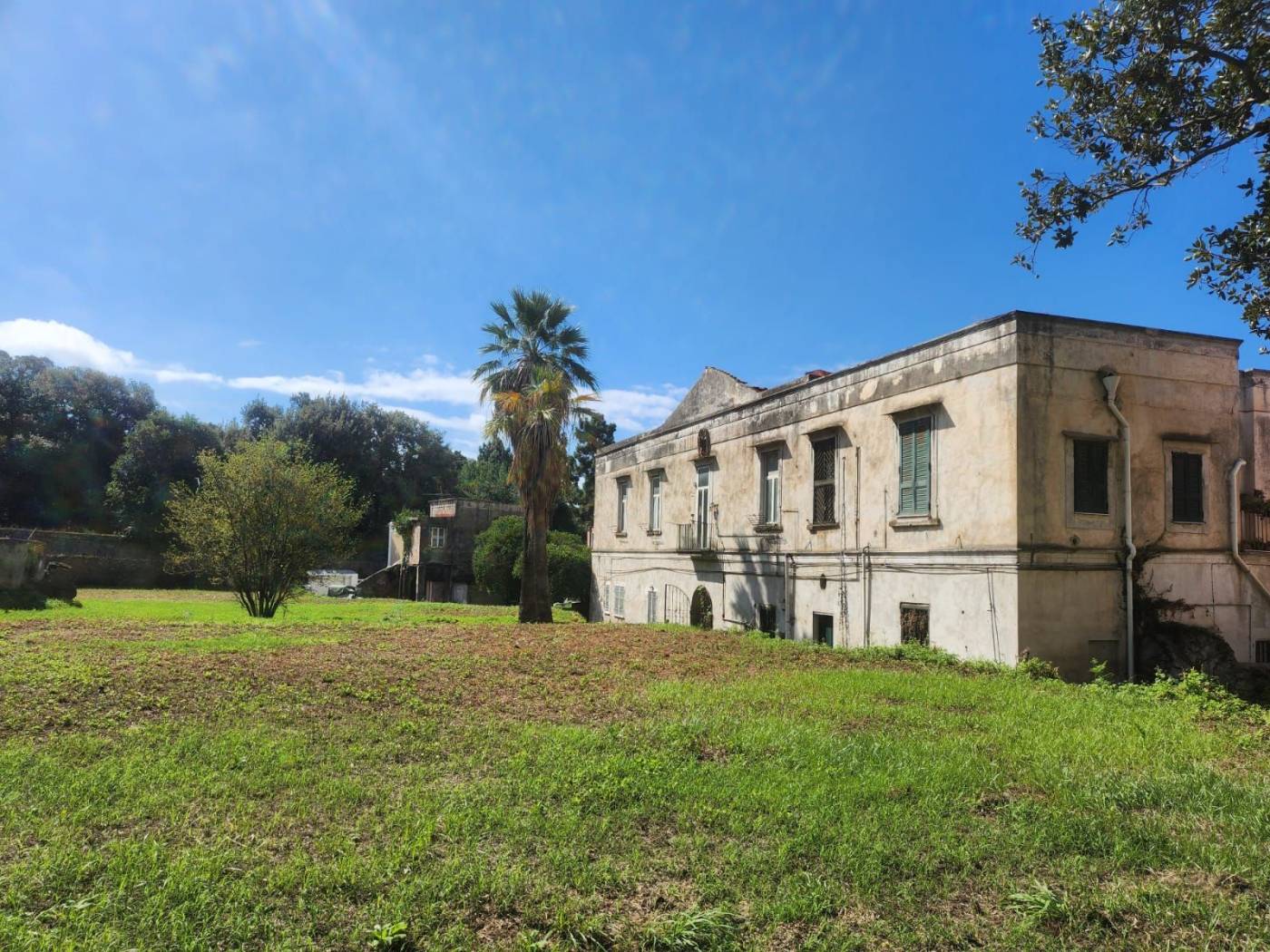 Giardino