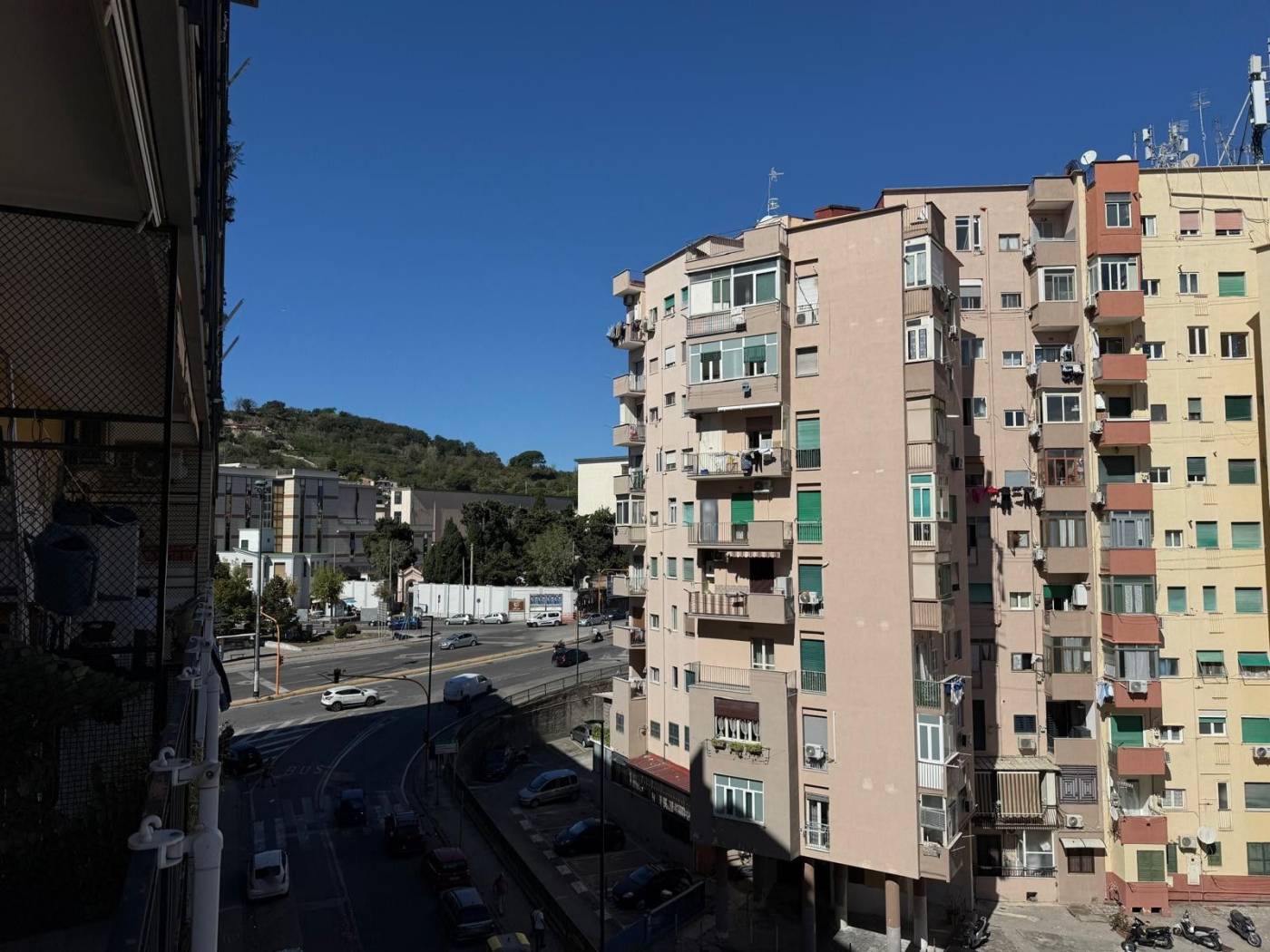 Vista