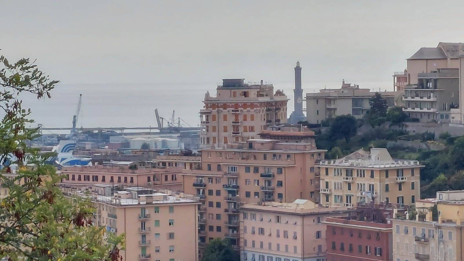 Vista