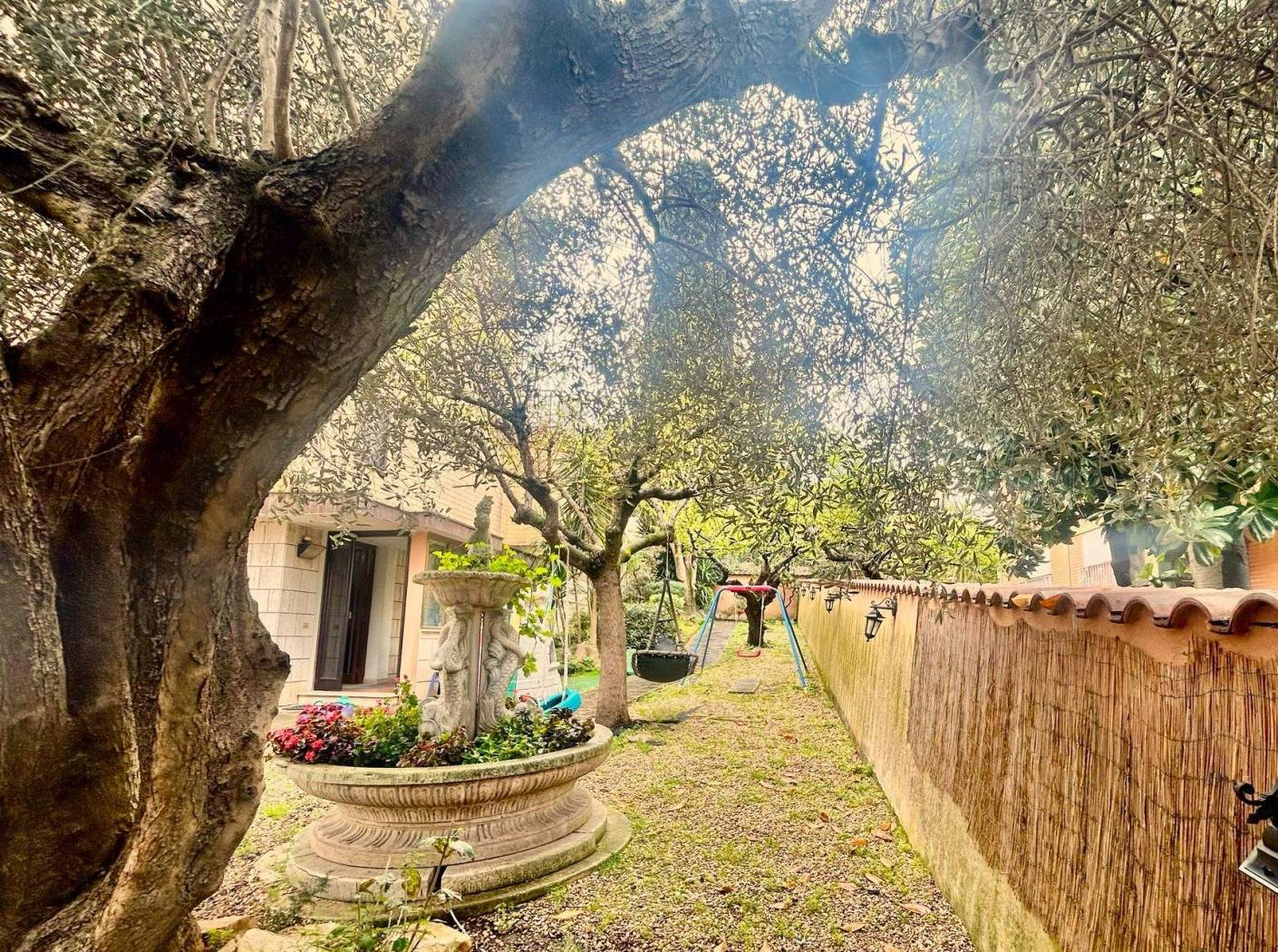 Giardino